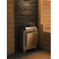 ����������� Kristina Soft Steam (�������� � �����������) ������� 6���/220V